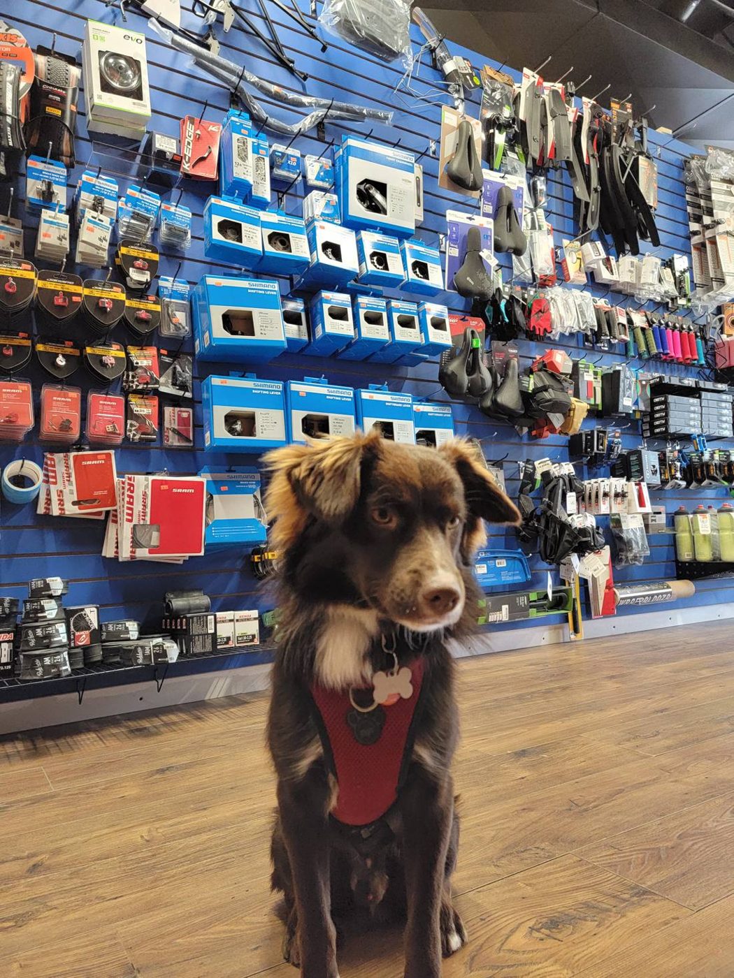 Close-up of Mojo's face in front of the parts wall